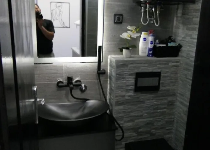 Dzunic Апартаменты Пирот