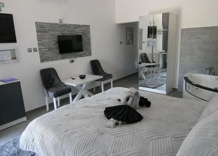 Dzunic Апартаменты Пирот